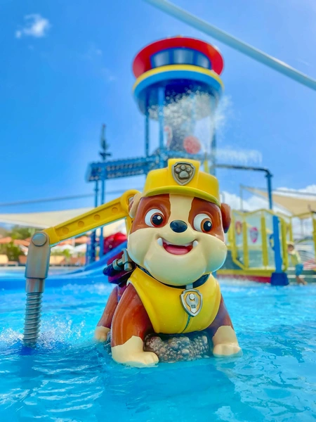 Aqua Nick paw patrol